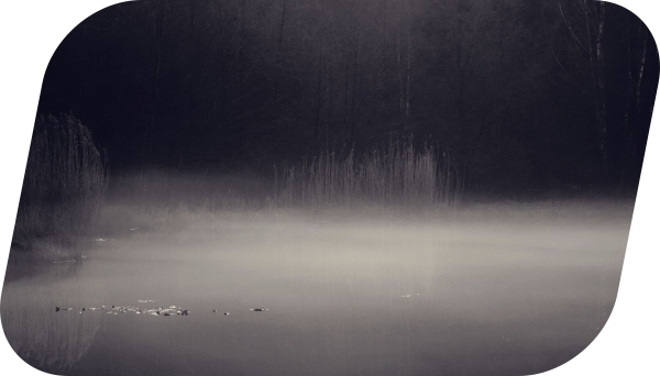 Nebel über dem Schwarzen Teich